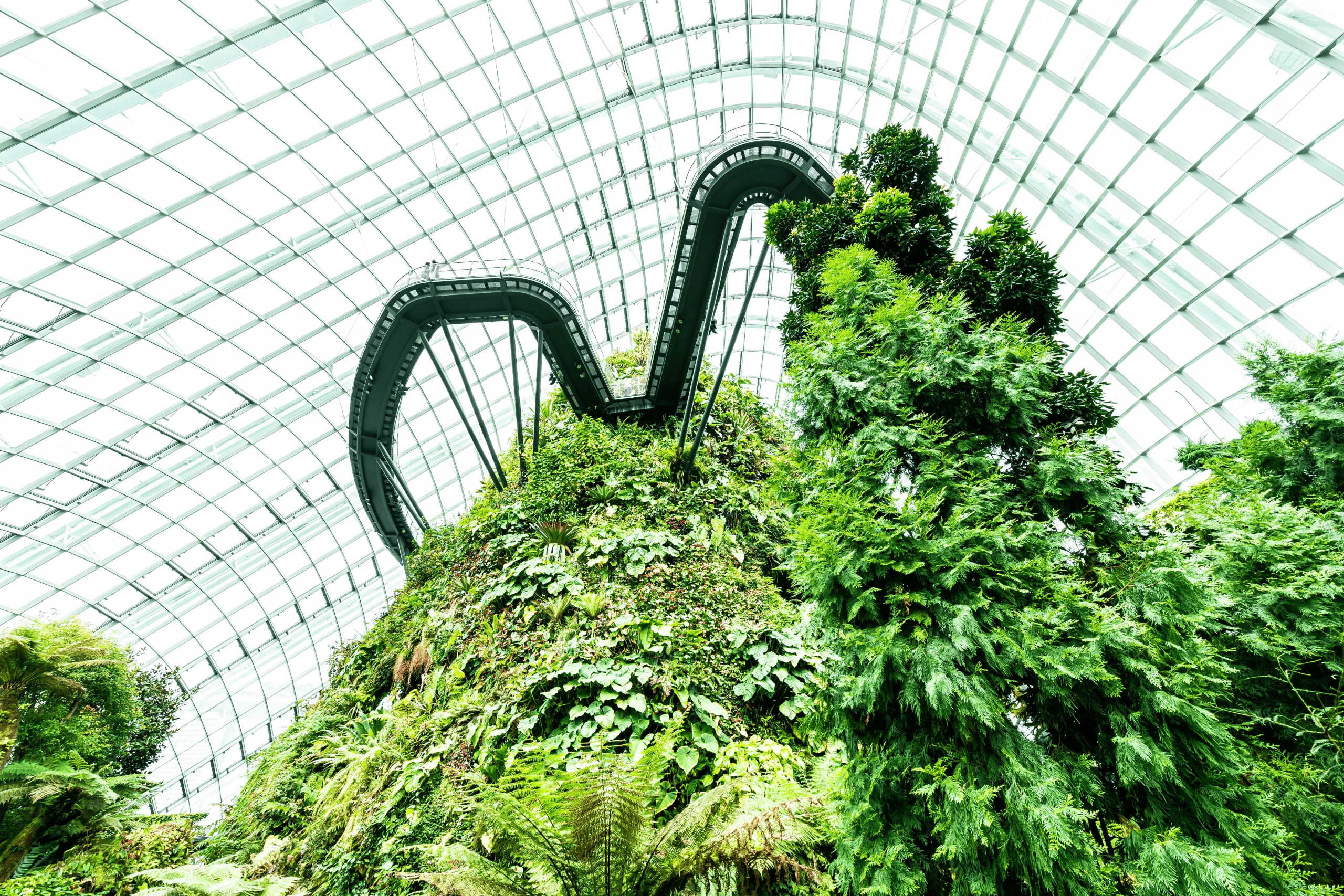 Pattern Design Rinciple What Is Sustainable Architecture? Definition, Principles & Future